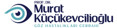 Prof. Dr. Murat KÜÇÜKEVCİLİOĞLU