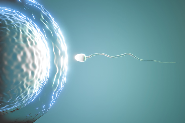 Cerrahi Sperm Elde Etme Yöntemleri (MikroTESE, PESA)
