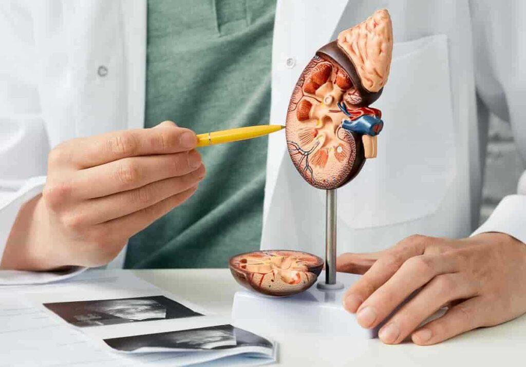 Böbrek Kanseri Ameliyatı