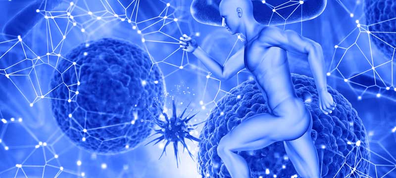 Sempatik sinir sistemi - magnet hastanesi ankara